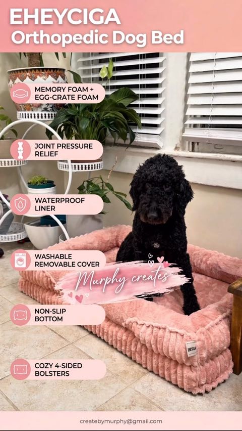 EHEYCIGA Orthopedic Dog Bed – UGC video by Murphy Creates