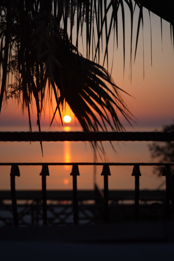 Sunset over the sea through palm leaves